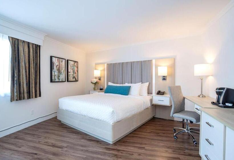 带大床的标准间, Best Western Dorchester