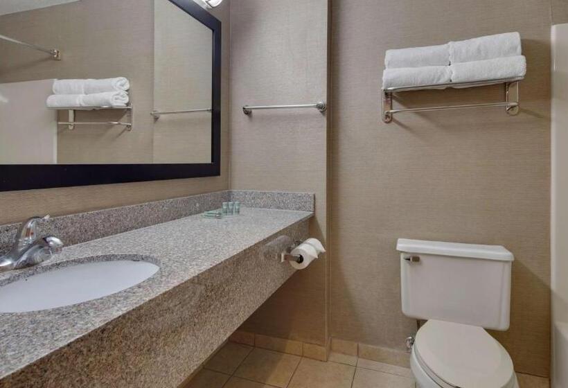 Номер Стандарт 2 Двуспальные Кровати, Best Western Pontiac Inn