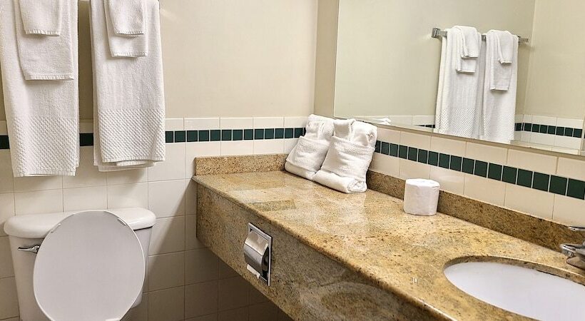 비즈니스룸, Riviera Inn And Suites 1000 Islands