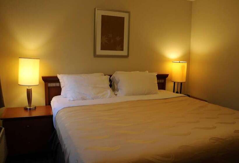 비즈니스룸, Riviera Inn And Suites 1000 Islands