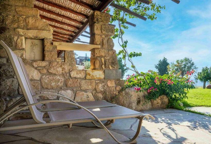 סטודיו סטנדרטי נוף לגינה, Coral Beach Hotel & Resort Cyprus