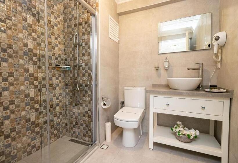 اتاق خانوادگی تودرتو, Alzer Hotel Special Class