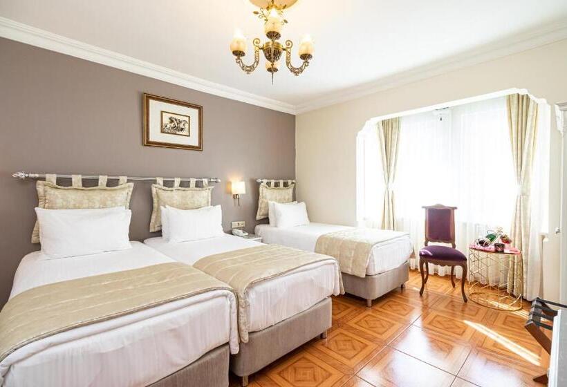 اتاق خانوادگی تودرتو, Alzer Hotel Special Class