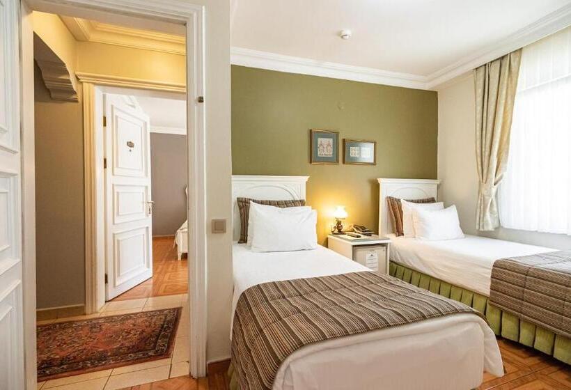 اتاق خانوادگی تودرتو, Alzer Hotel Special Class
