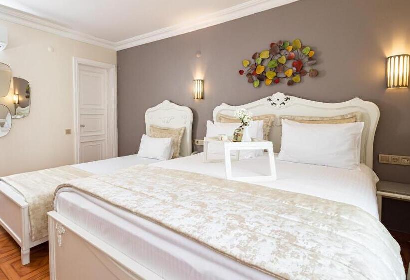 اتاق خانوادگی تودرتو, Alzer Hotel Special Class