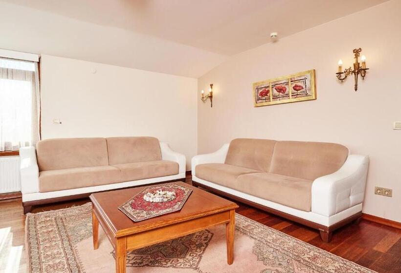 سوئیت با تخت بزرگ, Alzer Hotel Special Class