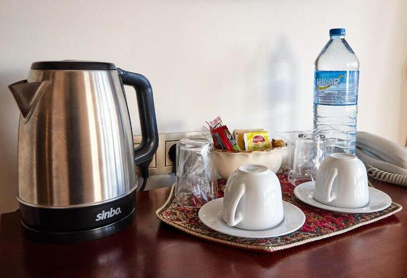 سوئیت با تخت بزرگ, Alzer Hotel Special Class