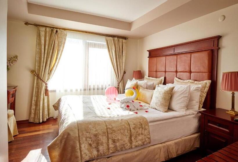 سوئیت با تخت بزرگ, Alzer Hotel Special Class