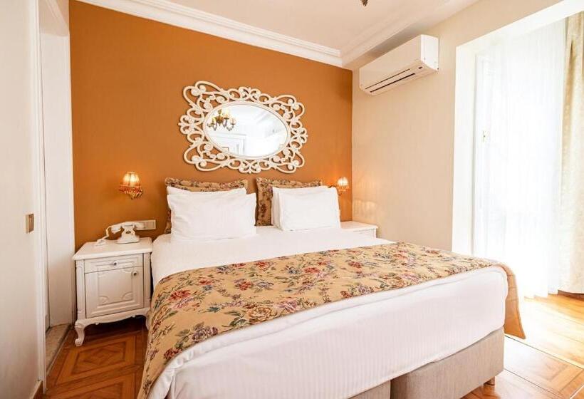 اتاق استاندارد, Alzer Hotel Special Class