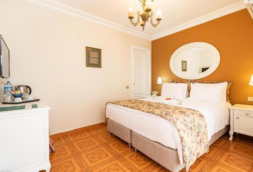 اتاق استاندارد, Alzer Hotel Special Class