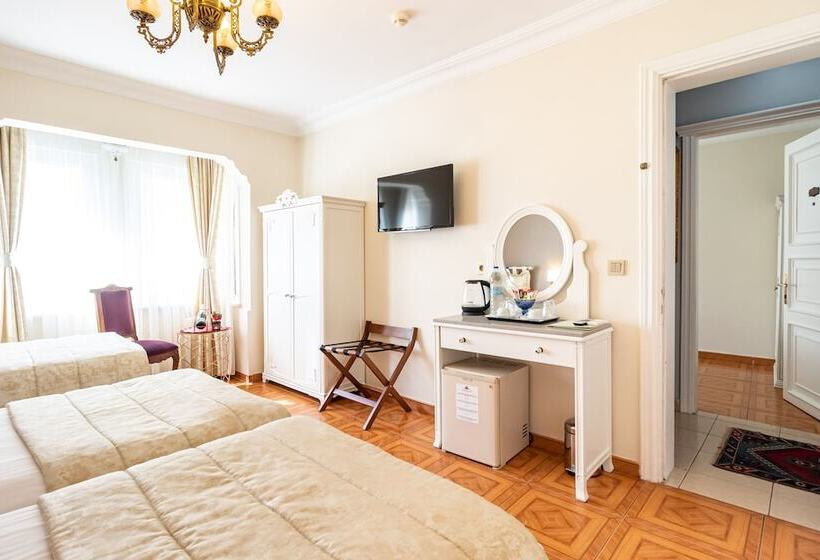 اتاق استاندارد, Alzer Hotel Special Class