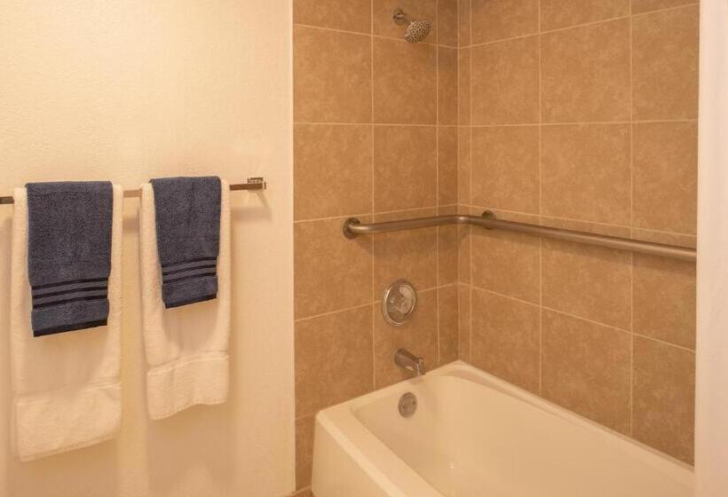 Апартаменты Deluxe 1 Спальня, Thunderbird Resort Club