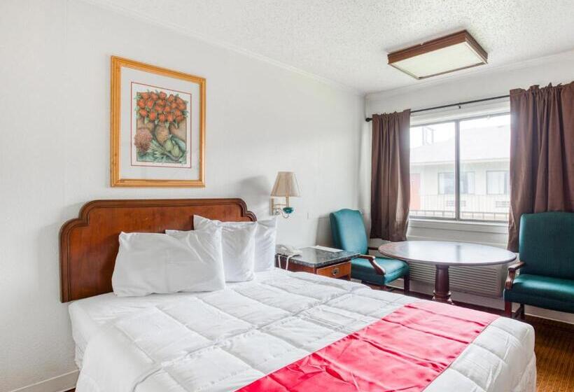 חדר סטנדרט, OYO Hotel San Antonio East