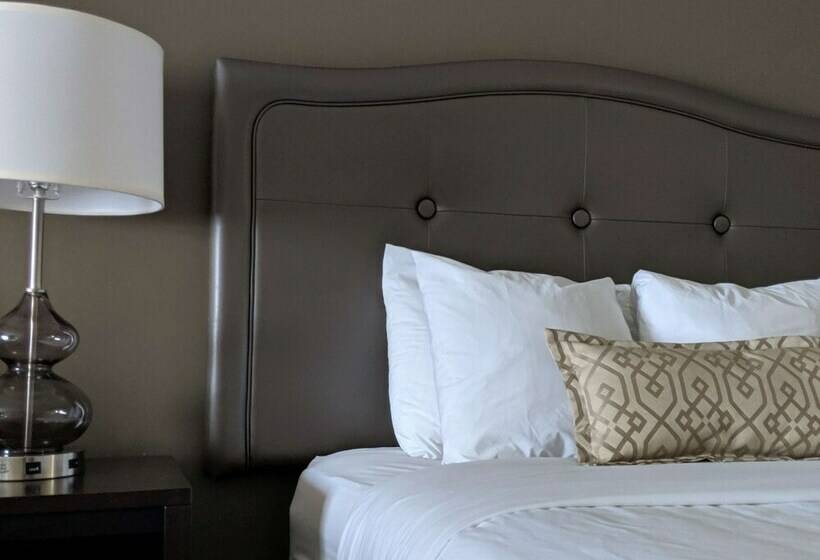 标准间, Best Western Swan Castle Inn