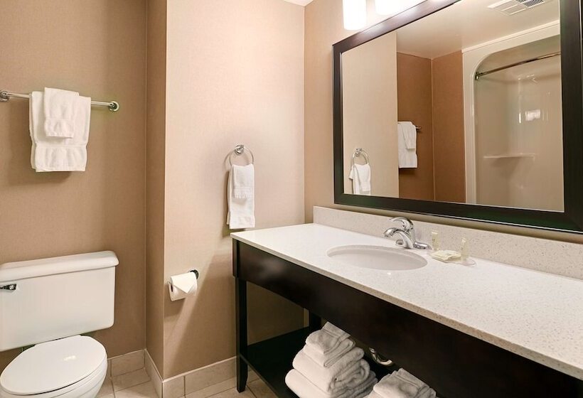 套房, Best Western Swan Castle Inn