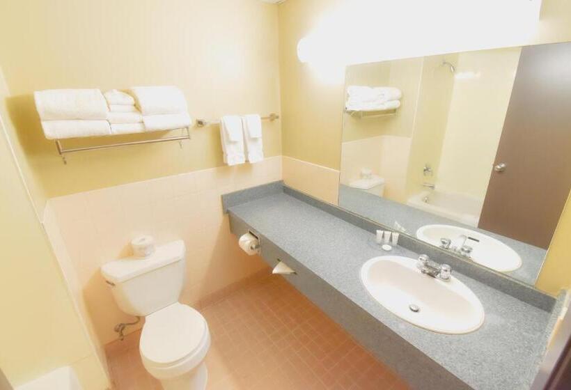 デラックスルーム, Canad Inns Destination Centre Garden City