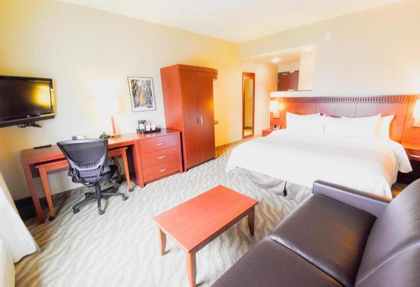 キングサイズベッドのデラックスルーム, Canad Inns Destination Centre Garden City