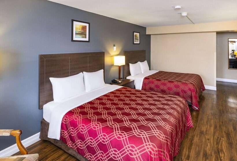 带2个双人床的标准工作室, Econo Lodge Miramichi