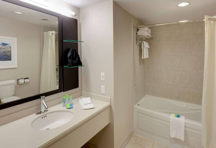 חדר סטנדרט שתי מיטות זוגיות, Radisson Hotel & Suites Fallsview