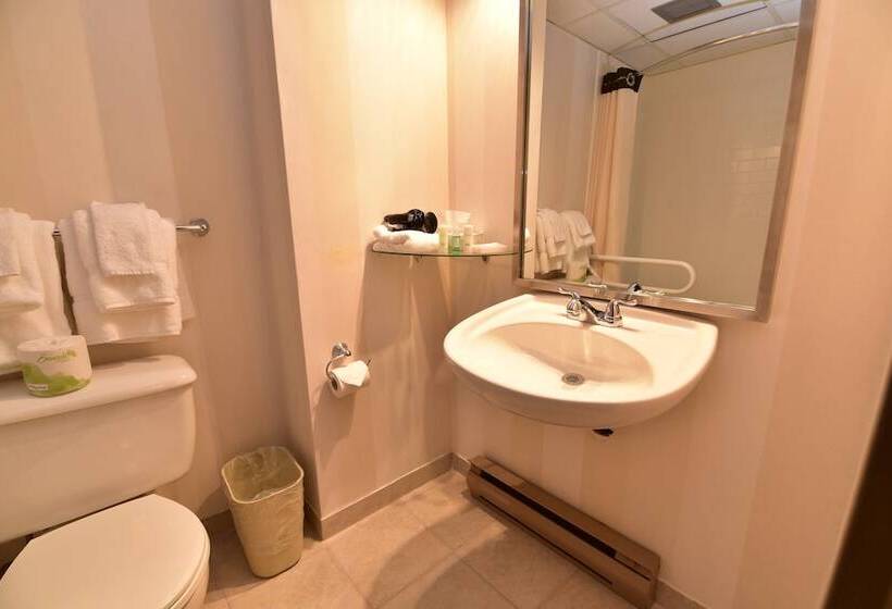 Номер Стандарт 2 Двуспальные Кровати, Clarion Hotel & Conference Centre