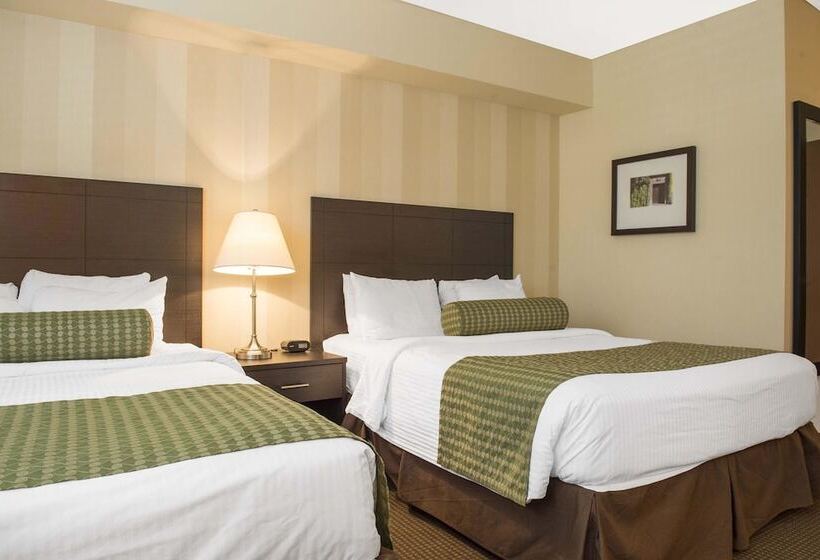 Номер Стандарт 2 Двуспальные Кровати, Clarion Hotel & Conference Centre