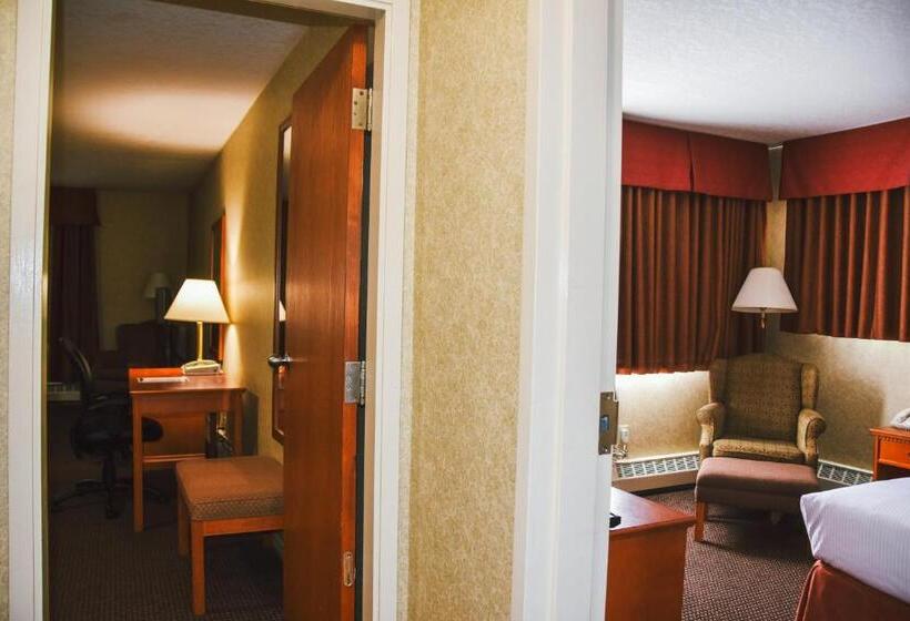 Полулюкс, Stony Plain Inn & Suites