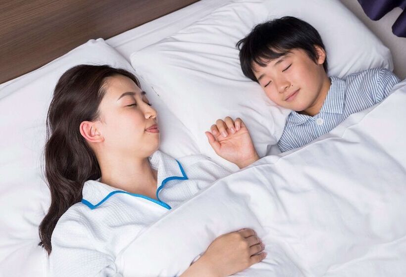 اتاق استاندارد, Comfort Hotel Saga
