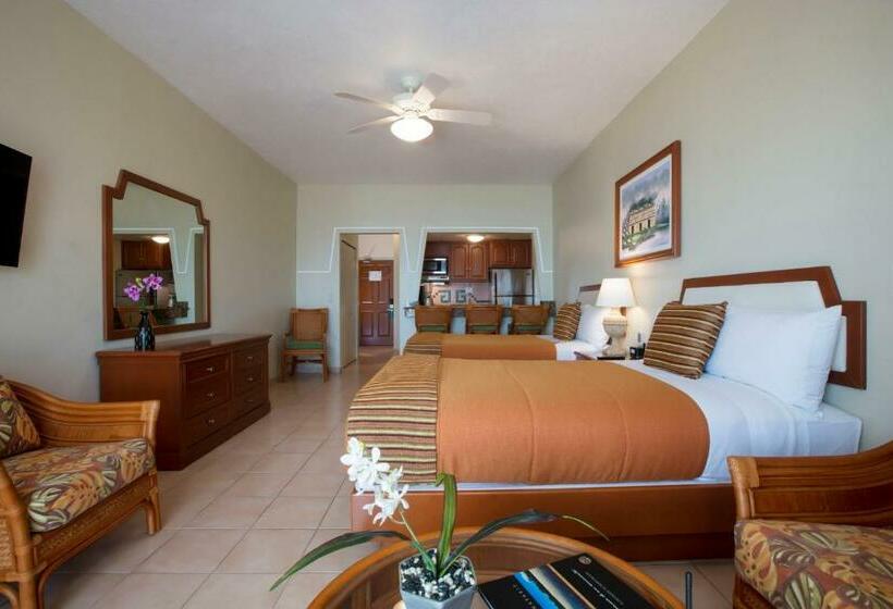 Studio Superior, Paradise Village