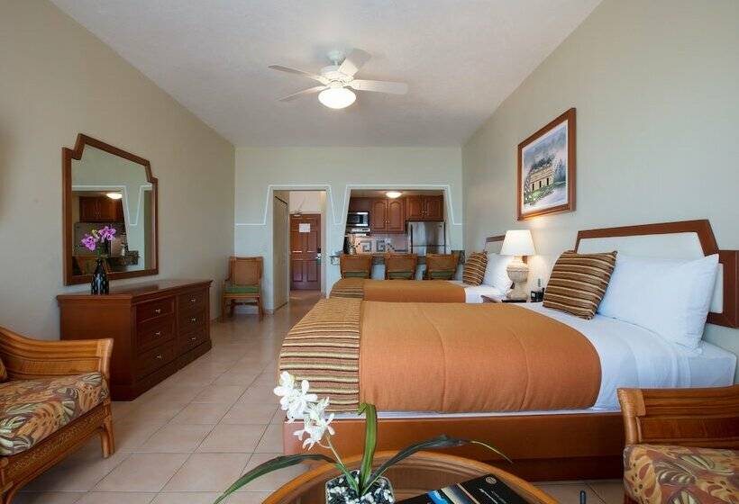 Studio Superior, Paradise Village