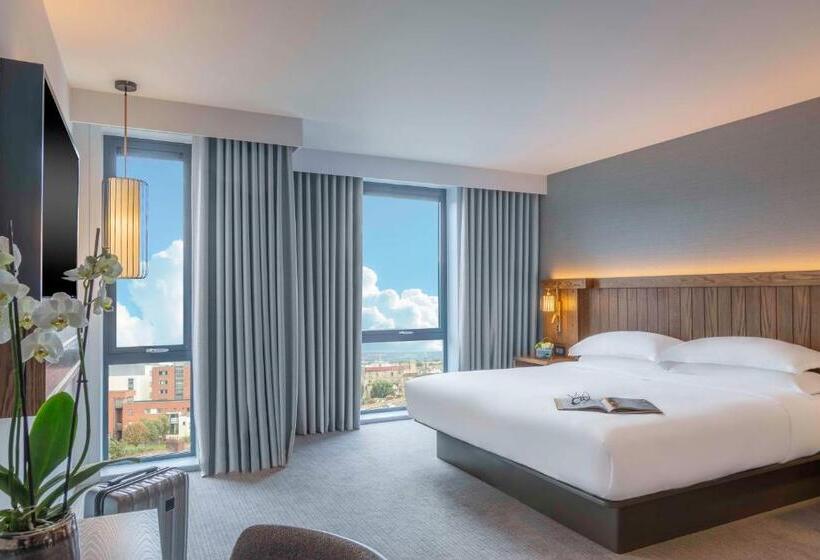 اتاق لوکس با تخت بزرگ, Hyatt Centric The Liberties Dublin