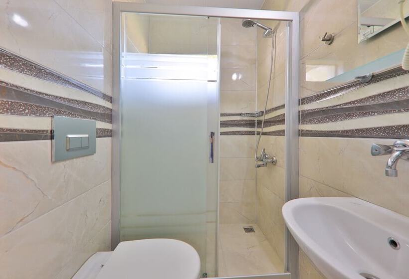 Номер Стандарт, Santosa Pension