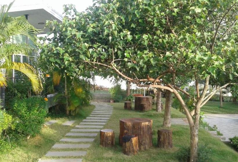 اتاق استاندارد, Mountain View Resort