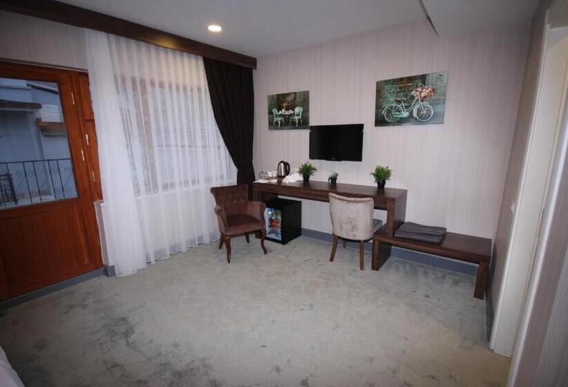 اتاق لوکس با چشم‌انداز دریا, Vita Suites Karakoy