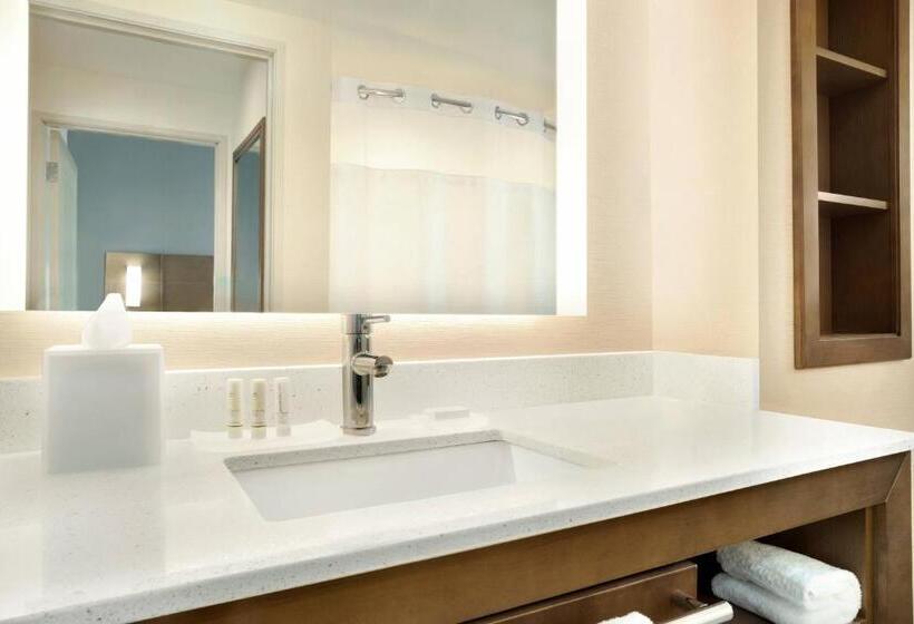 Студио Стандарт с Видом, Residence Inn By Marriott Phoenix Chandler/south