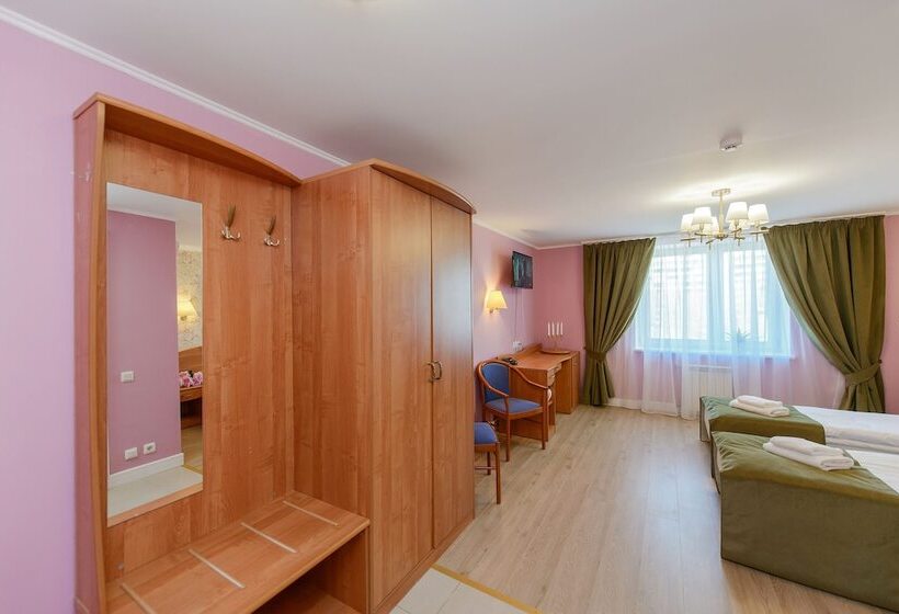اتاق استاندارد, Art Hotel Karelia