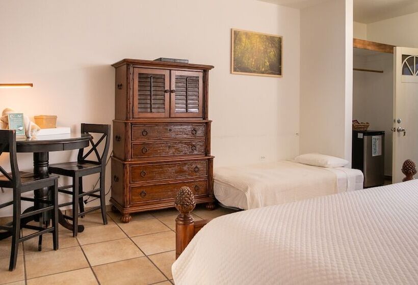 اتاق استاندارد با تخت بزرگ, Lazy Parrot Inn