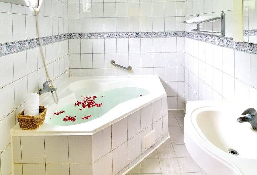اتاق استاندارد چهار تخته, Jenq Yang Hotspring