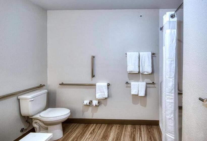 带大床的套房, Holiday Inn Express & Suites   Omaha Downtown   Airport, An Ihg