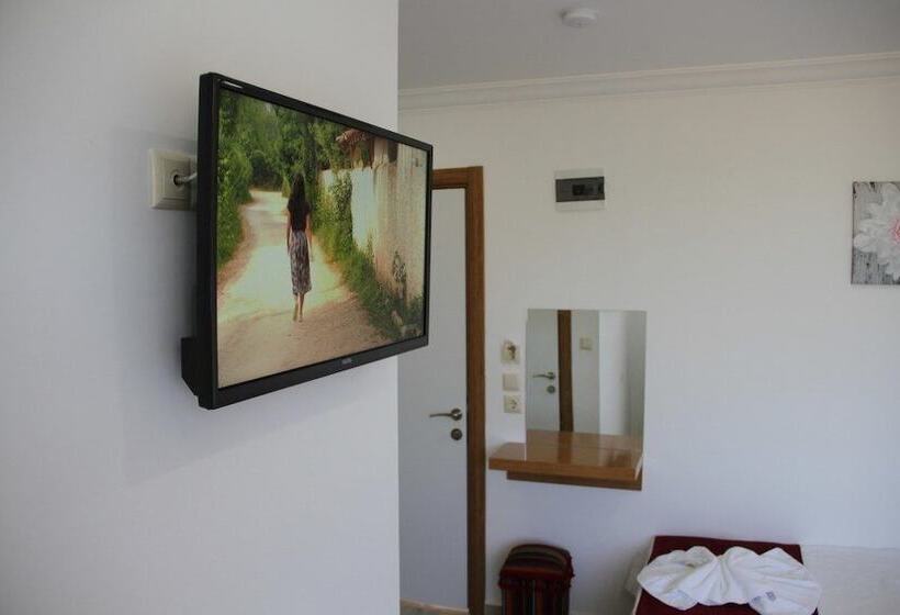 اتاق استاندارد سه نفره, Aelbistan Otel
