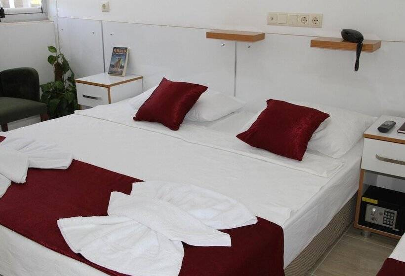 اتاق استاندارد, Aelbistan Otel