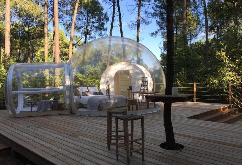 Номер Deluxe, Les Bulles De Bordeaux