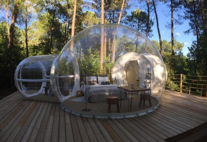 Номер Deluxe, Les Bulles De Bordeaux