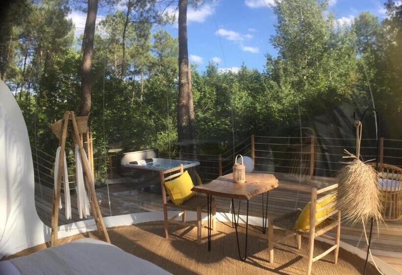 Номер Deluxe, Les Bulles De Bordeaux