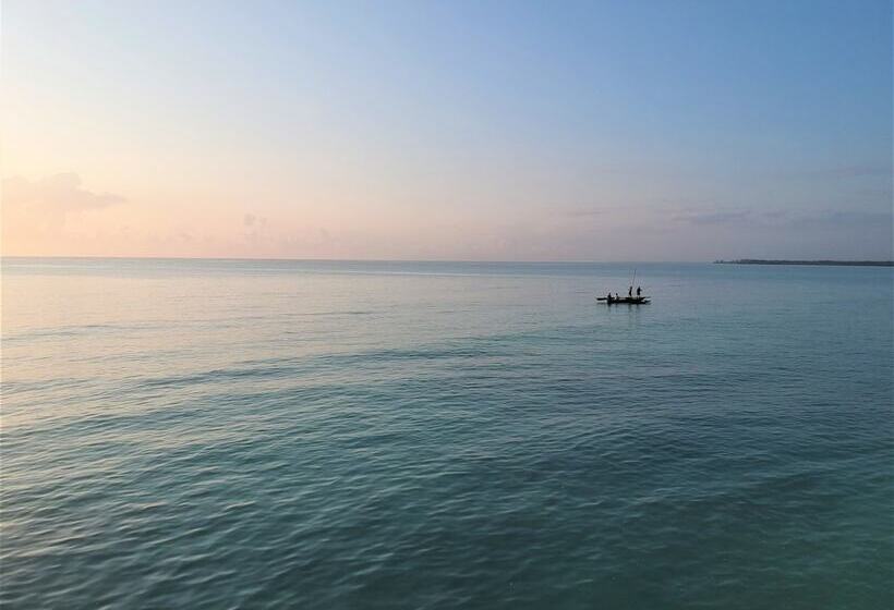 Трехместный Номер Базовый, Seasons Lodge Zanzibar