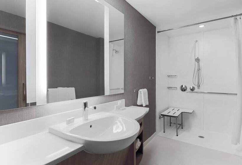 Люкс, Springhill Suites By Marriott Auburn