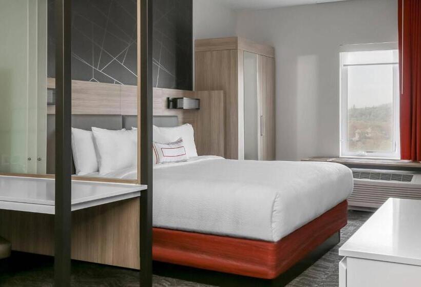 Люкс Кровать Кинг, Springhill Suites By Marriott Auburn