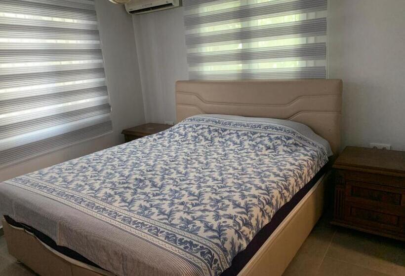 اتاق استاندارد با تخت بزرگ, çarşı Butik Otel