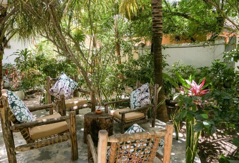 جناح, Mr Kahawa