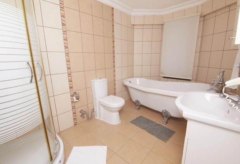 Люкс Повышенной Комфортности, Dalyan Hotel Nish Caria