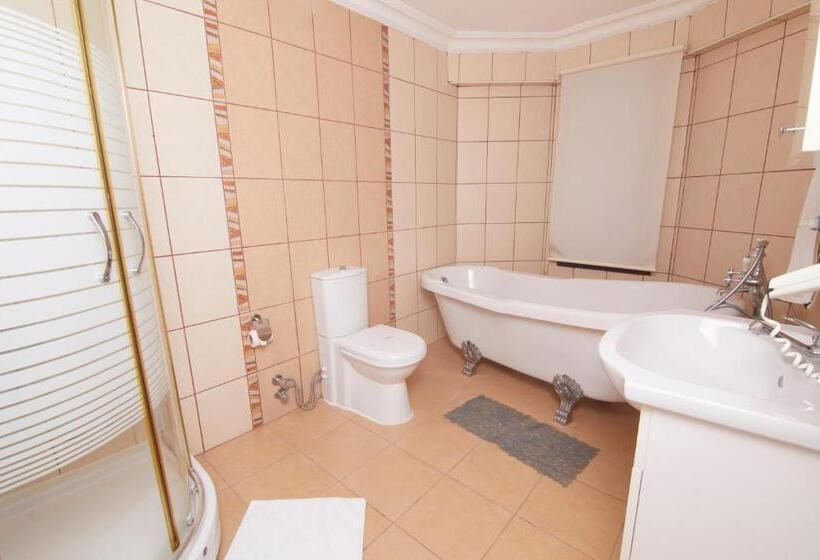 Люкс Повышенной Комфортности, Dalyan Hotel Nish Caria